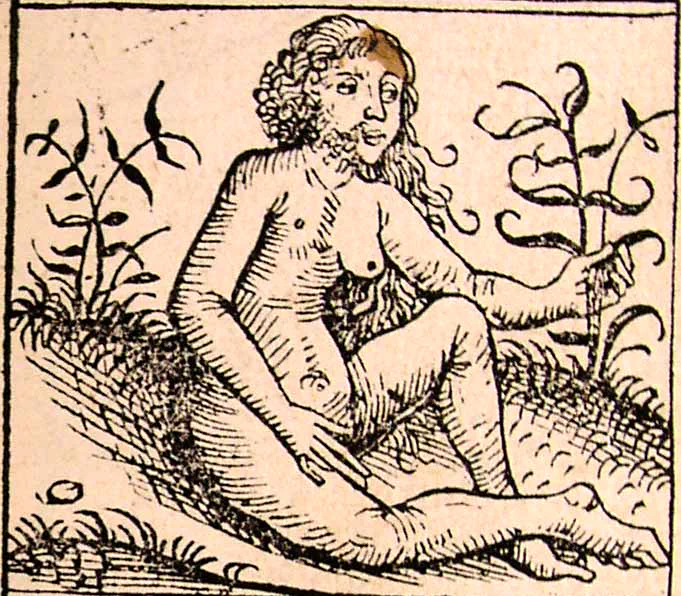 Андрогин. Хартман Шедель, иллюстрация из «Нюрнбергской хроники», 1493