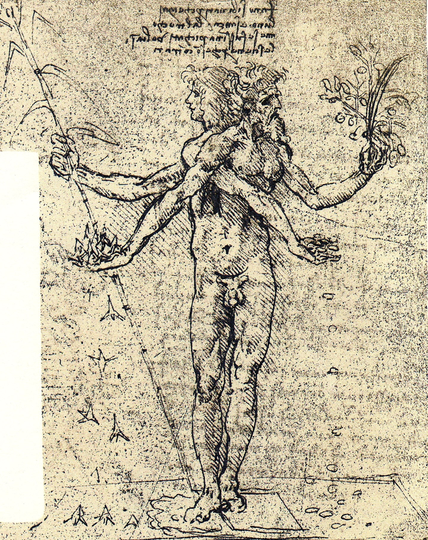 Hermafrodita. Grabado de un libro basado en bocetos de Leonardo da Vinci, siglos XV-XVI. En el diálogo «El banquete», Platón transmite el mito de que originalmente los seres humanos eran criaturas íntegras con cuatro brazos, cuatro piernas y dos rostros. Estas criaturas se propusieron desafiar a los dioses. Como castigo, Zeus los partió por la mitad, convirtiéndolos en los seres humanos actuales. Desde entonces, cada persona busca su mitad perdida, anhelando la restauración de la unidad perdida.