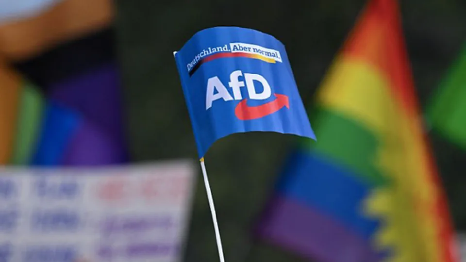 जर्मन समलैंगिक पुरुष AfD को वोट क्यों देते हैं